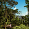One&Only Nyungwe House