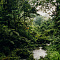 One&Only Nyungwe House