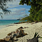 Alphonse Island Resort