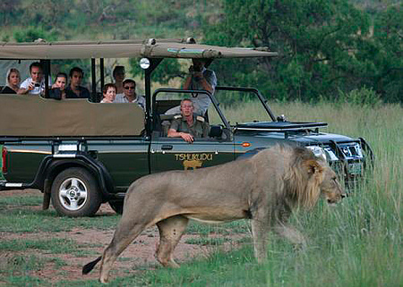 Tshukudu Bush Lodge (Pilansberg National Park)
