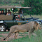 Tshukudu Bush Lodge (Pilansberg National Park)