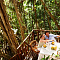 Fregate Island Private