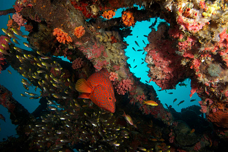 FUSHIFARU MALDIVES
