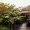One&Only Nyungwe House