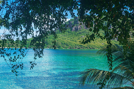 Enchanted Island Resort
