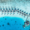 ANGSANA VELAVARU