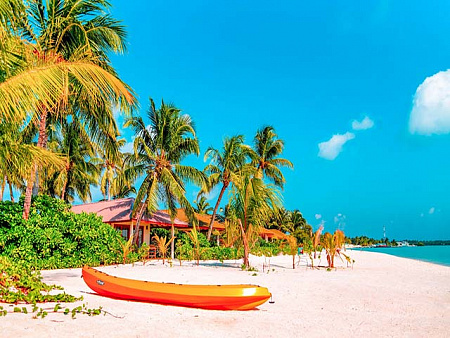 SOUTH PALM