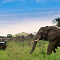 andBeyond Phinda Mountain Lodge