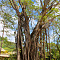 STORY (Seychelles) (ex. The H Resort Beau Vallon)