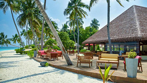 REETHI FARU RESORT