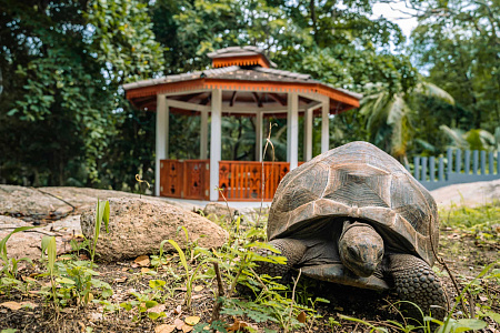 Hilton Seychelles Labriz Resort & Spa