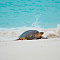 Fregate Island Private