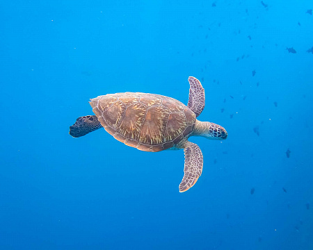 FUSHIFARU MALDIVES