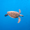 FUSHIFARU MALDIVES