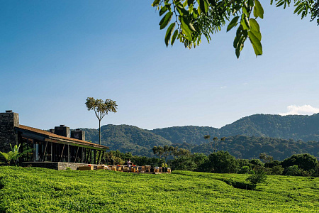 One&Only Nyungwe House