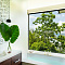 Raffles Praslin