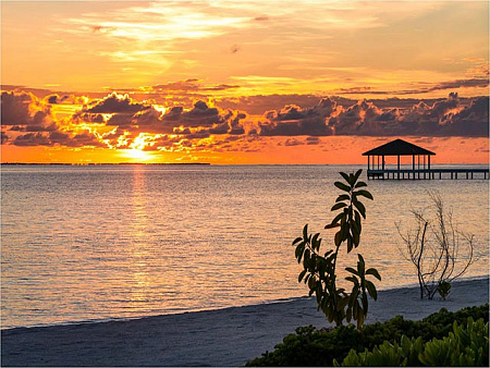 SOUTH PALM