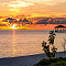 SOUTH PALM