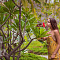 FUSHIFARU MALDIVES