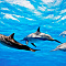 AYADA MALDIVES