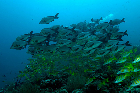 FUSHIFARU MALDIVES