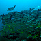 FUSHIFARU MALDIVES