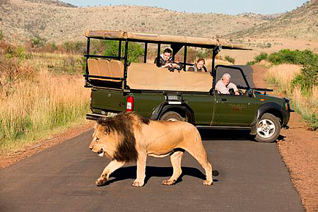 Tshukudu Bush Lodge (Pilansberg National Park)