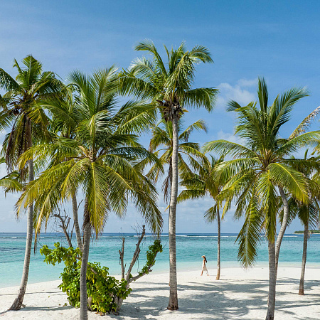ALILA KOTHAIFARU MALDIVES