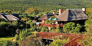 Lobengula at Shamwari Private Game Reserve