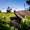 Hilton Seychelles Labriz Resort & Spa