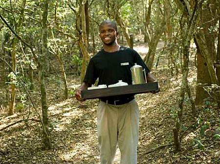 andBeyond Phinda Forest Lodge