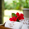 Savoy Seychelles Resort & Spa