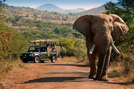 Bakubung Bush Lodge (Pilansberg National Park)