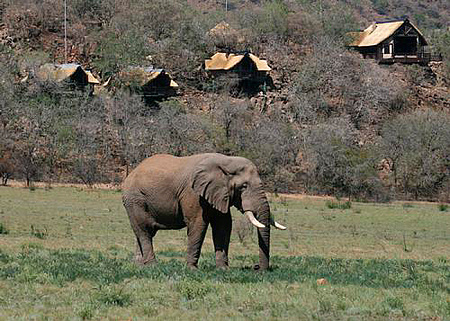Tshukudu Bush Lodge (Pilansberg National Park)