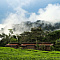 One&Only Nyungwe House