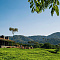 One&Only Nyungwe House