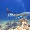 FUSHIFARU MALDIVES