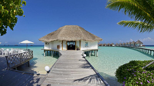 SAFARI ISLAND RESORT & SPA