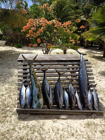 Denis Private Island