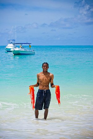 Denis Private Island