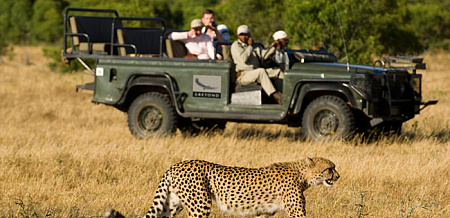 andBeyond Phinda Mountain Lodge