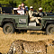 andBeyond Phinda Mountain Lodge