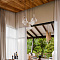 One&Only Nyungwe House