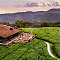 One&Only Nyungwe House