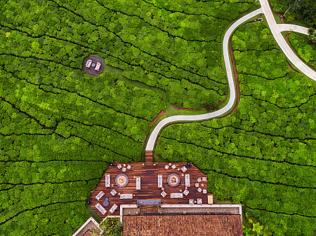 One&Only Nyungwe House
